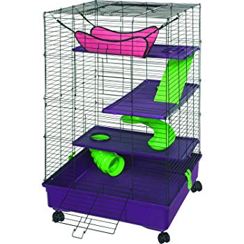 rat cage for two rats