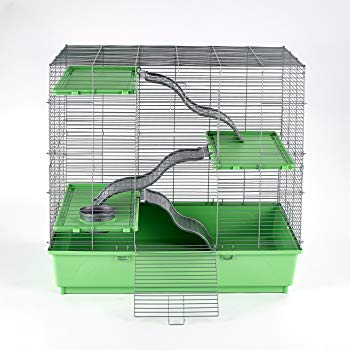 best rat habitat