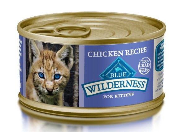 Best Cat Food for Kittens - We're All About Pets