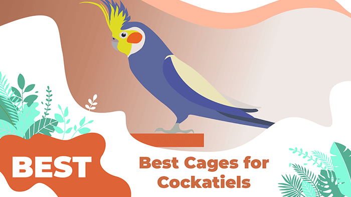 cockatiels cages