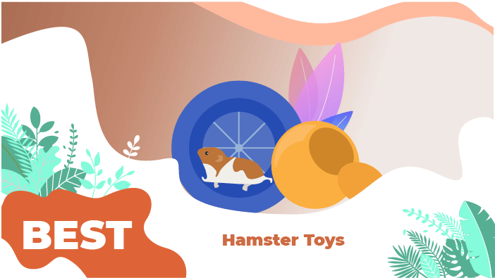 Best Hamster Toys