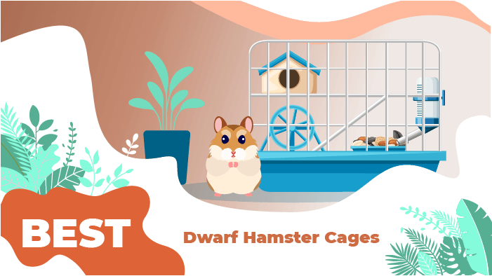 best dwarf hamster cage