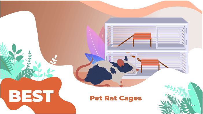 best rat cages