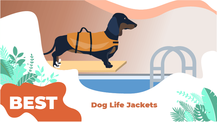 dog life jacket