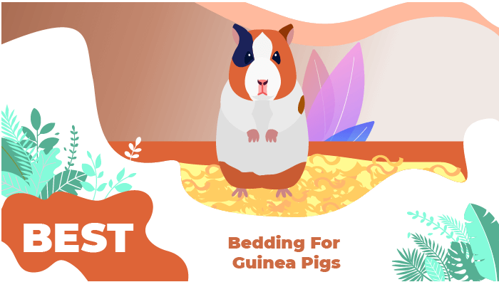 best guinea pig bedding
