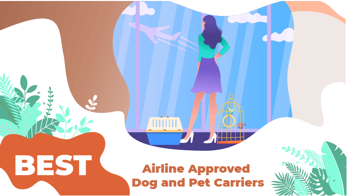 Cat Carrier Size Chart