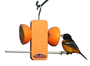 The 5 Best Bird Feeders For Orioles In 2020 We Re All About Pets