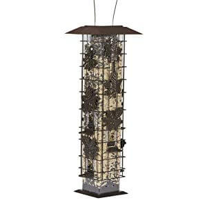 5 Best Squirrel Proof Bird Feeders Of 2020 We Re All About Pets