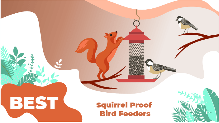 best squirrel proof feeders