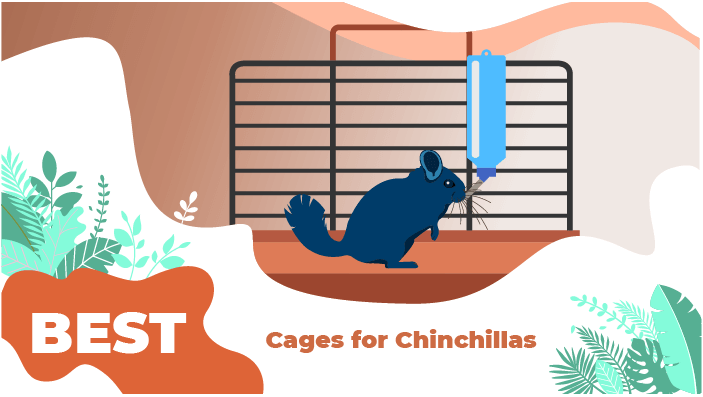 chinchilla cage