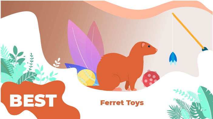 best ferret toys