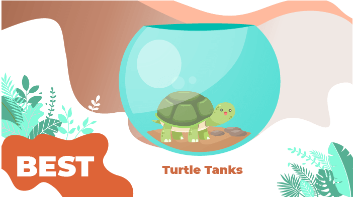 turtle tanks