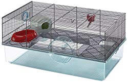 best rat cage for two rats