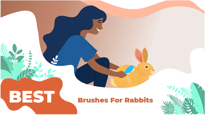 brush rabbit