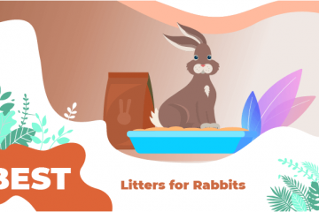 litters rabbits