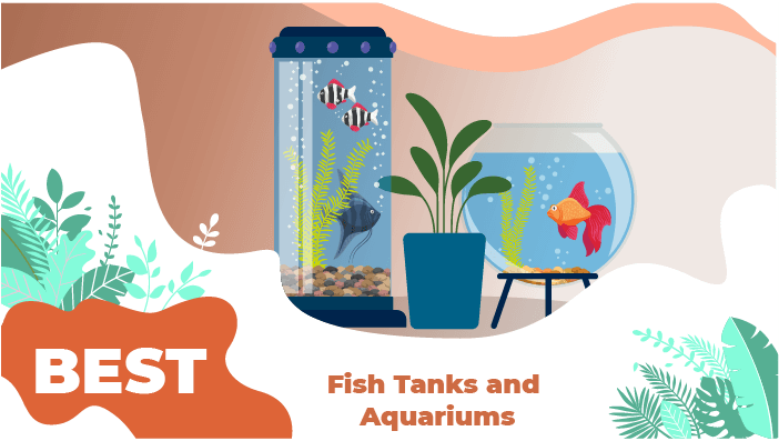 fish tanks and aquariums