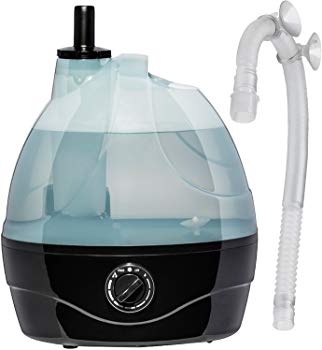 repti fogger for ball python