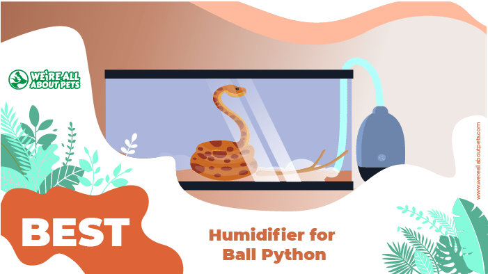 humidifier for python