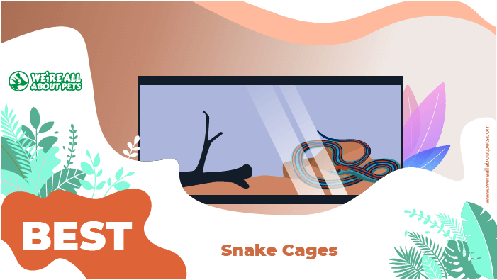 best snake cages
