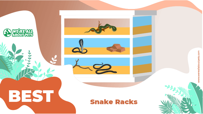 snake racks