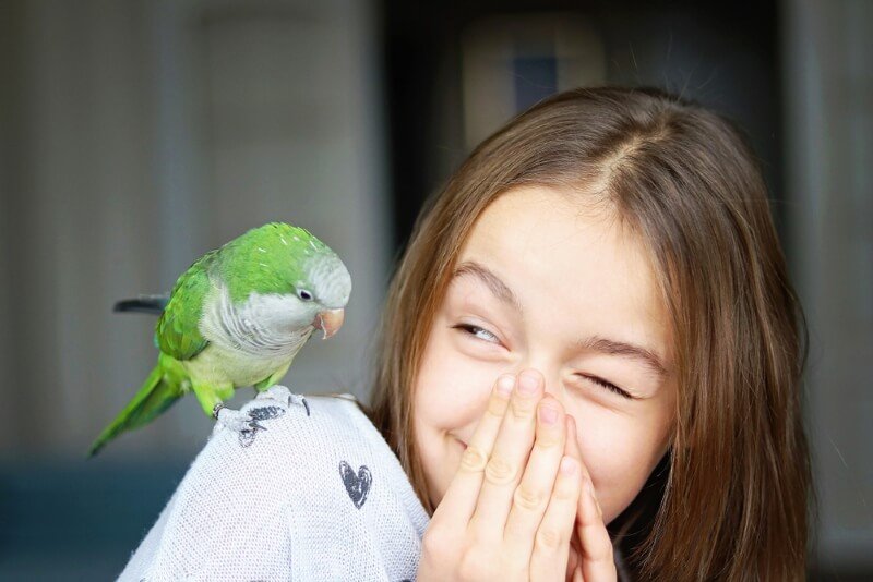 female parakeet names