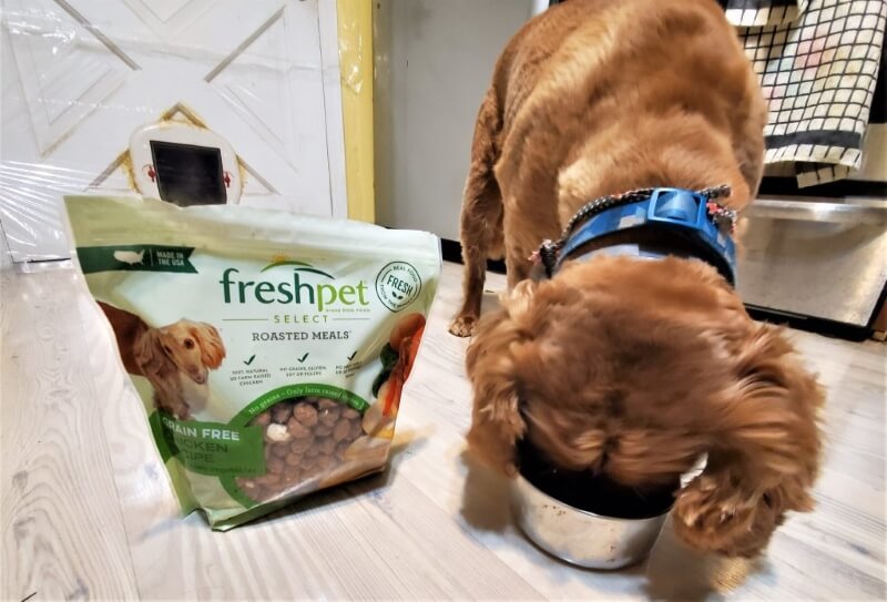 freshpet taste test