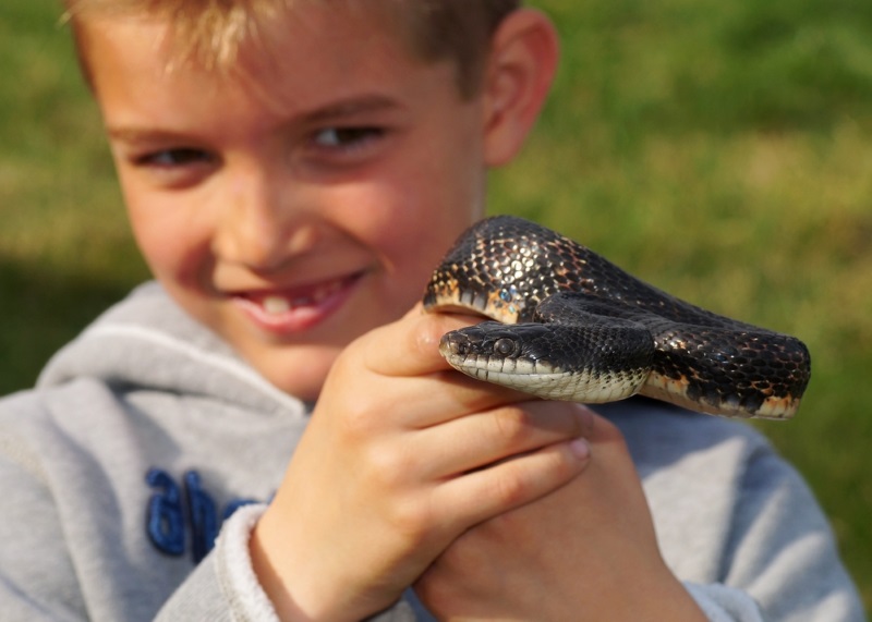 Male Snake Names