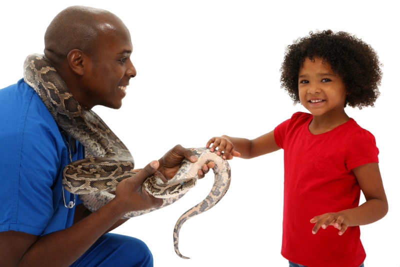 257 Cool Pet Snake Names & Meanings - We're All About Pets