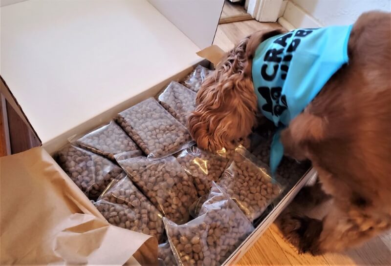 crafted kibble dog food review crafted kibble dog food review