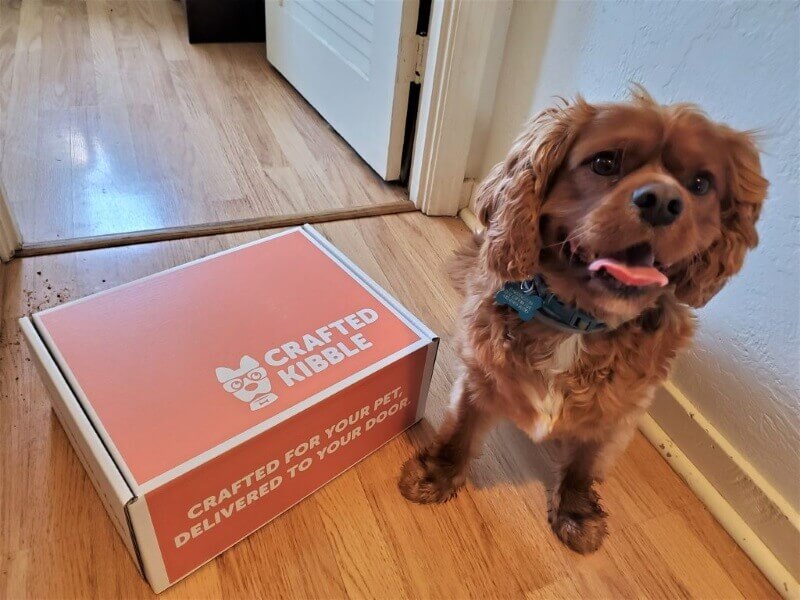 Crafted Kibble Dog Food Review Crafted Kibble Dog Food Review