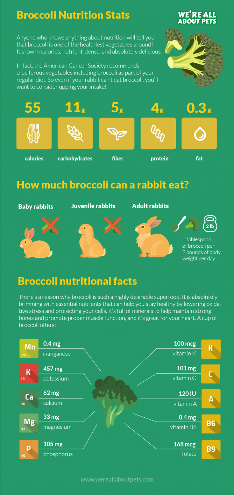 Can Rabbits Eat Broccoli? We