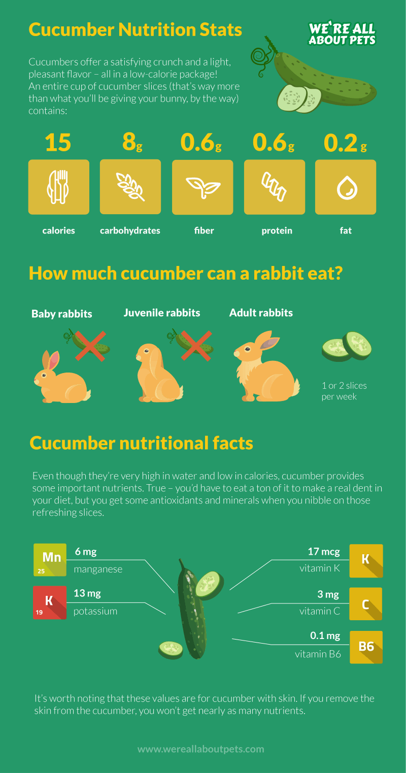 rabbit nutrition cucumber