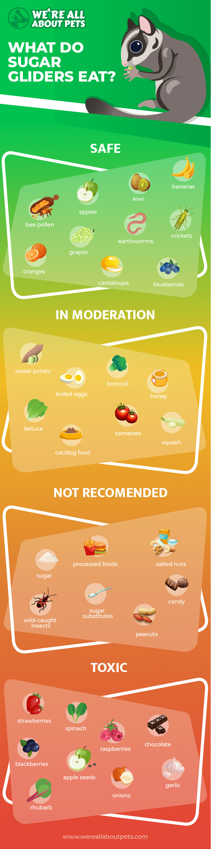 what do sglider eat info