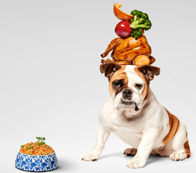 Pet Plate Pet Plate