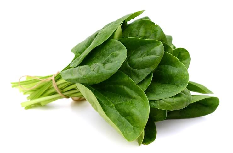 Can Rabbits Eat Spinach We Re All About Pets