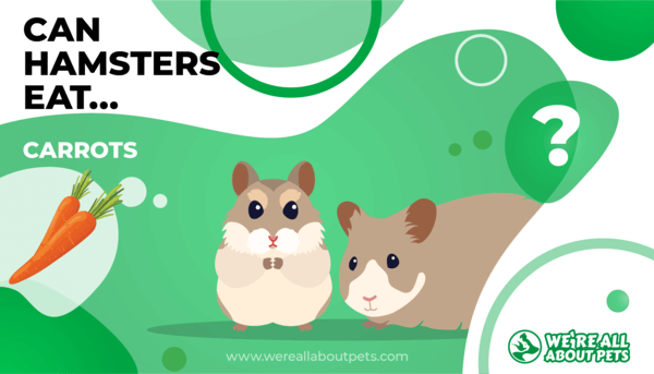 Can hamsters outlet eat grapes