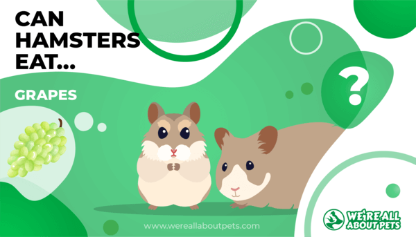 Are grapes hotsell bad for hamsters