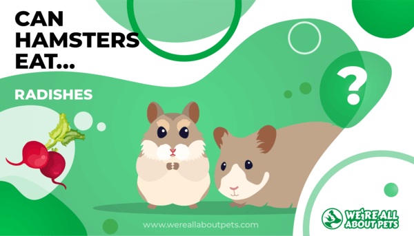 Can Hamsters Eat Radishes?