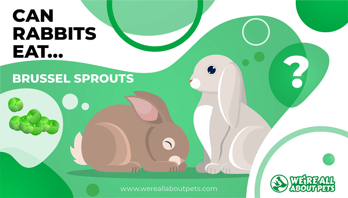 Can Rabbits Eat Brussel Sprouts?