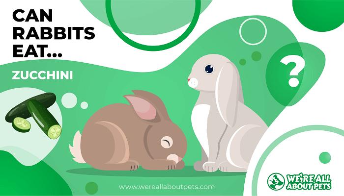 Can Rabbits Eat Zucchini?