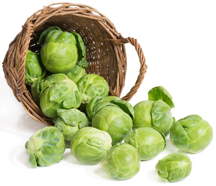 Can Hedgehogs Eat Brussel Sprouts: A Nutritional Analysis