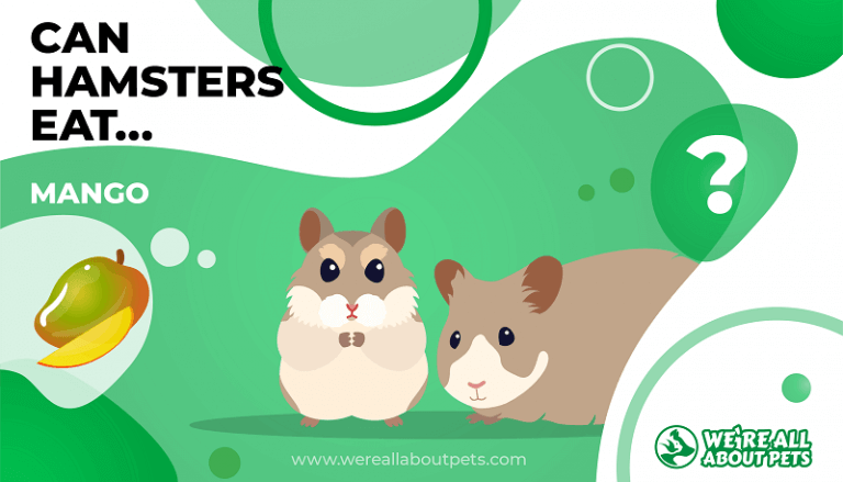 Can hamsters eat outlet fruit