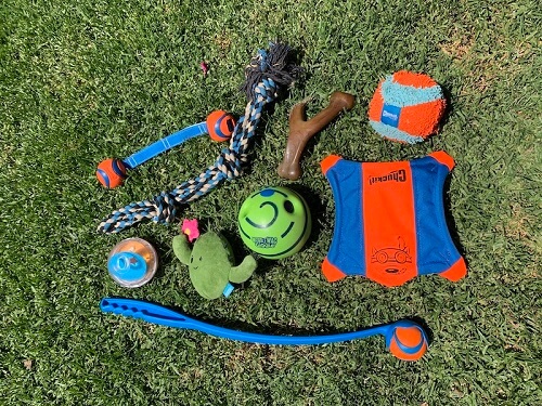 Best Toys for Husky Dogs Best Toys for Husky Dogs