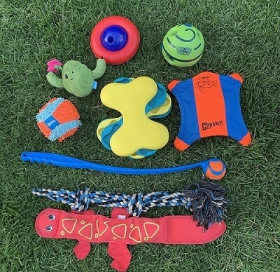 Boston-Terrier toys