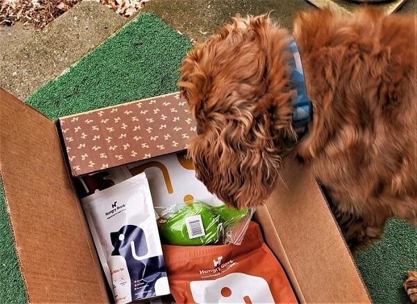 Hungry Bark Dog Food Hungry Bark Dog Food