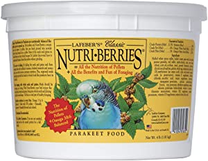 Lafeber’s Classic Nutri-Berries Pet Bird Food