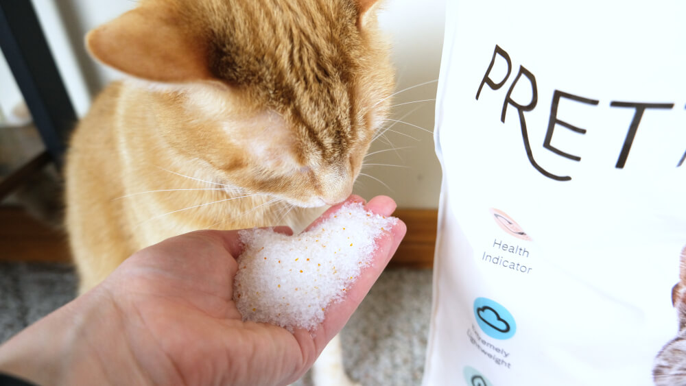 Pretty Litter Review Purchased And Tested We're All About Pets