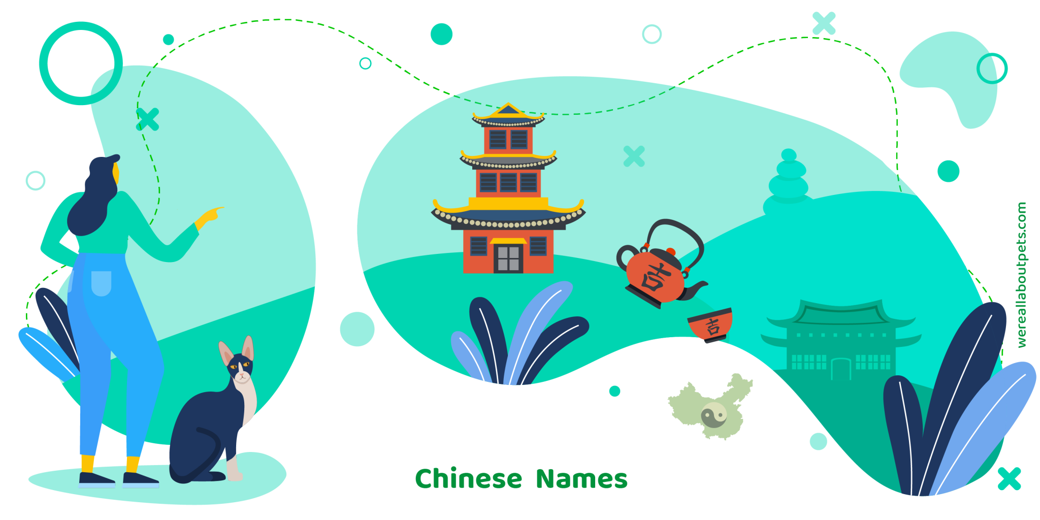 123 CHINESE CAT NAMES We're All About Pets
