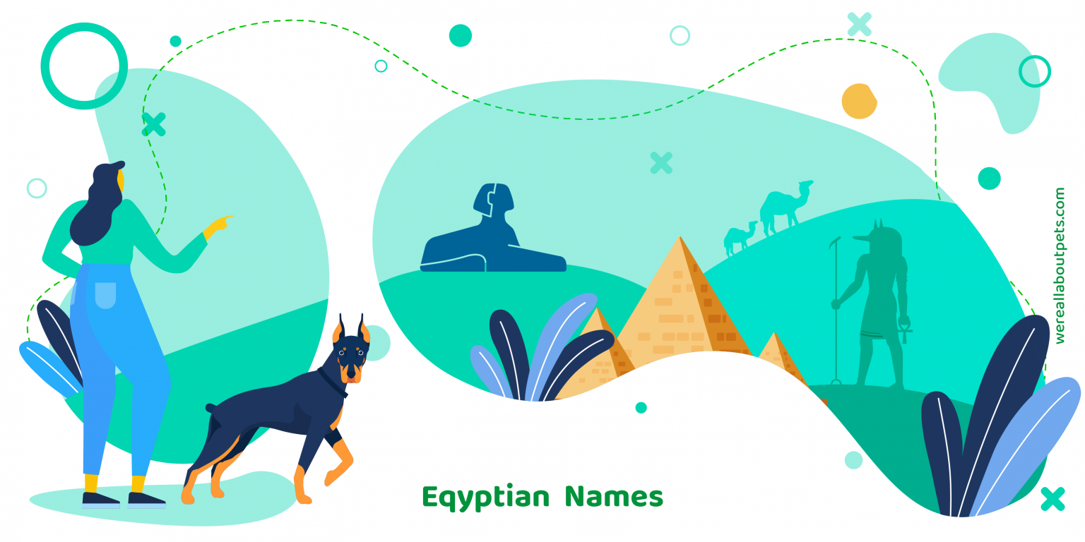 100 EGYPTIAN DOG NAMES We're All About Pets