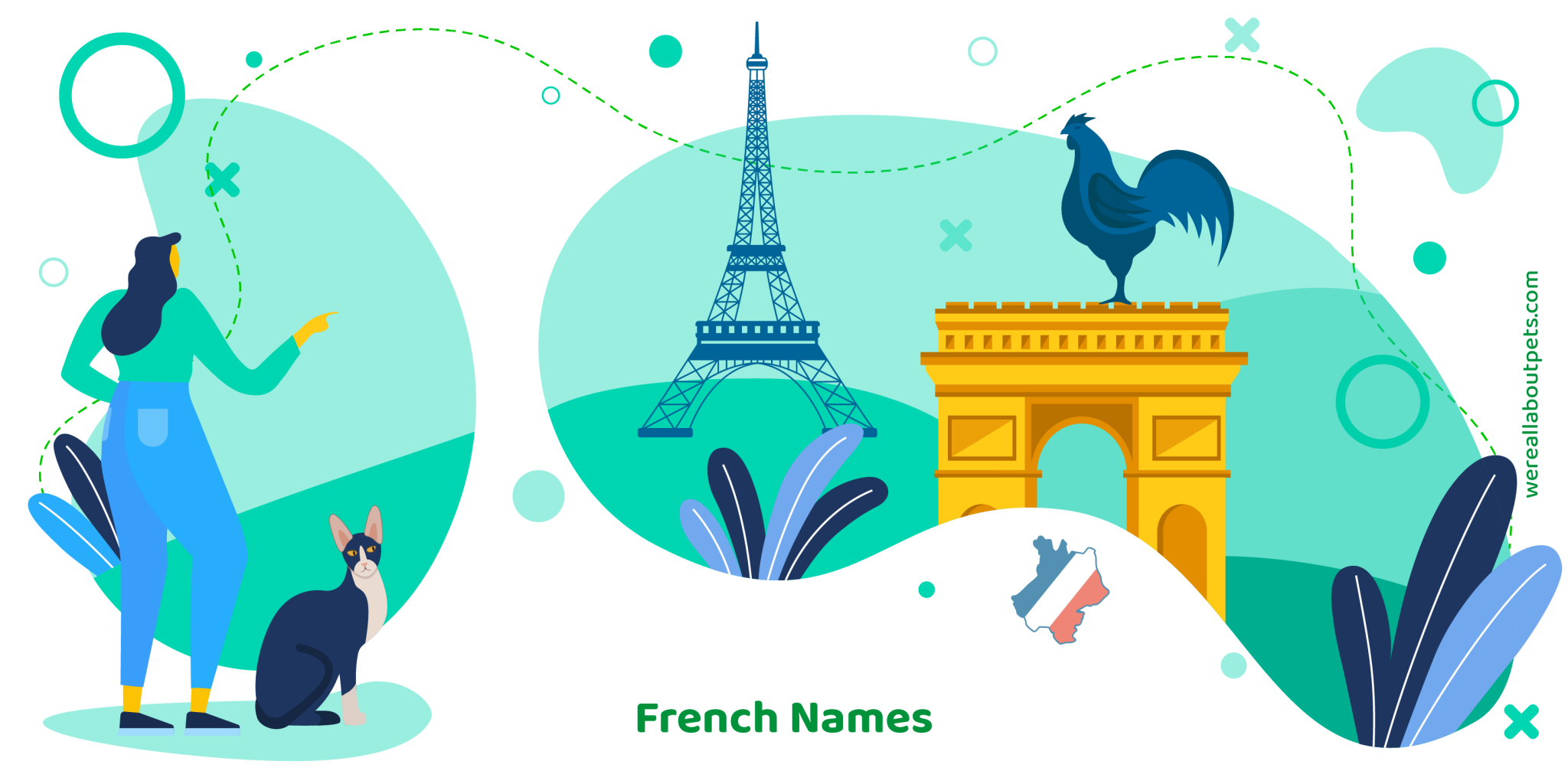 100 FRENCH CAT NAMES We re All About Pets